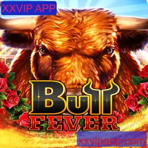 Explorando BullFever: O Empolgante Mundo do Jogo de Cartas