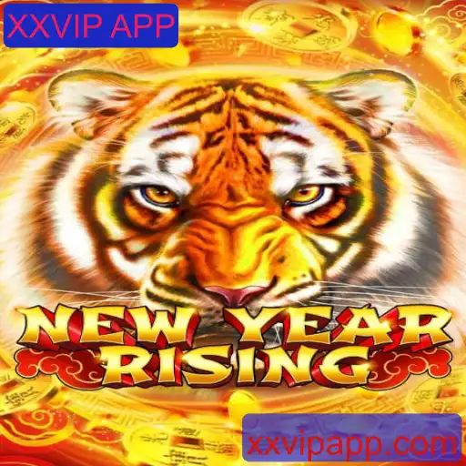 Explorando o Mundo de NewYearRising: O Guia Completo
